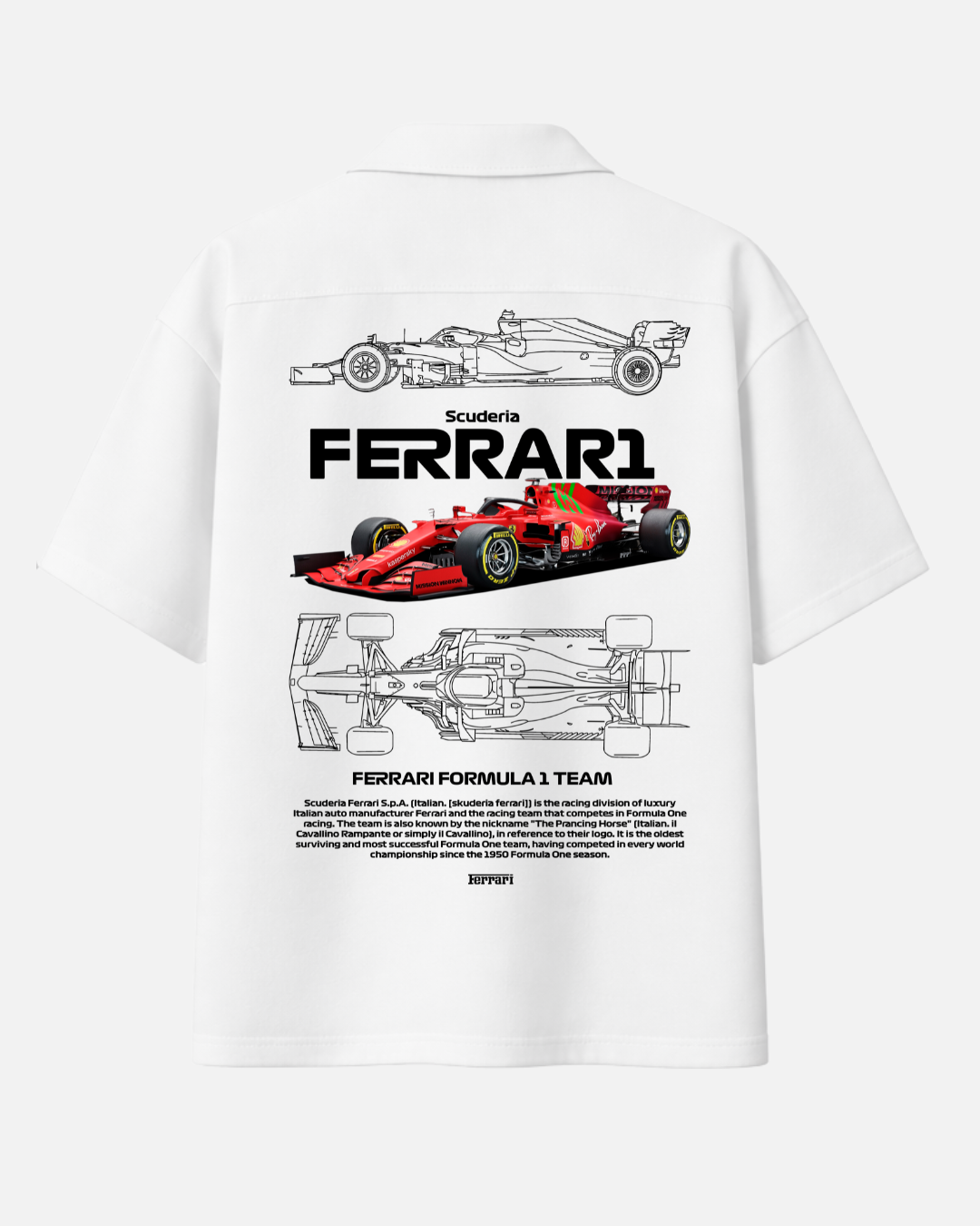 Formula 1 motorsport back print shirt for men